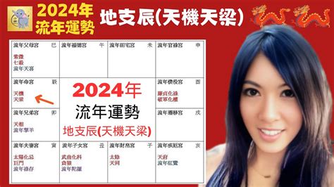 2024 流年運勢|2024 全年運勢詳批，桃桃喜簡少年獨創紫微斗數運勢解盤